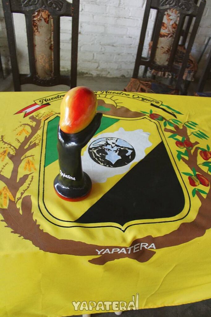 ART16 mano negra y mango