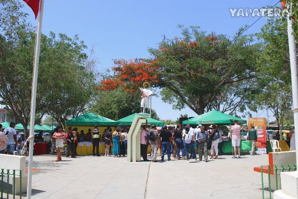FM2 CONCURSOS DEL FESTIVAL