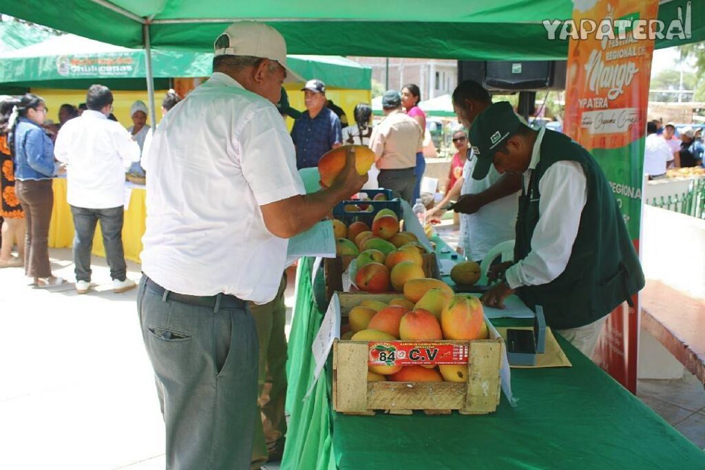 FM4 Concurso de mango