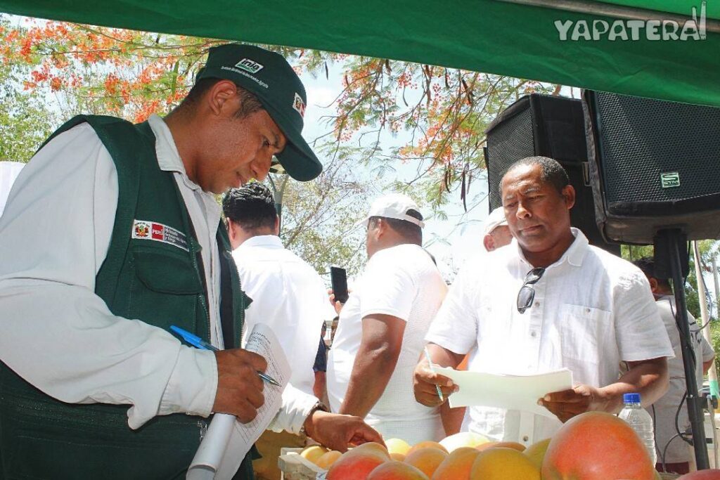 FM6 EVALUACION DE MANGO