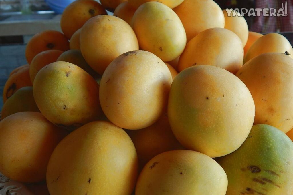 MA10 Mango2