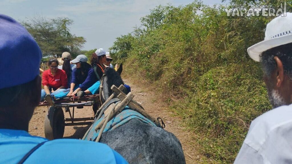 VV3 Paseo en carreta 3